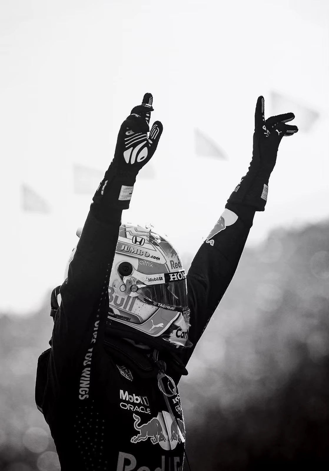F1 POSTERS