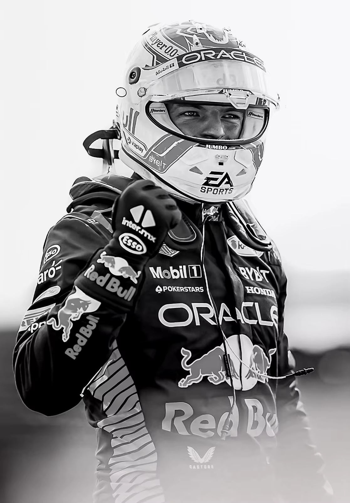F1 POSTERS
