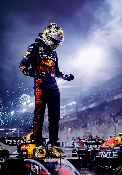 F1 POSTERS